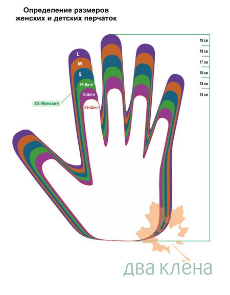 Схема размеров женских перчаток