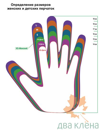 Как определить размер перчаток - таблицы и калькулятор