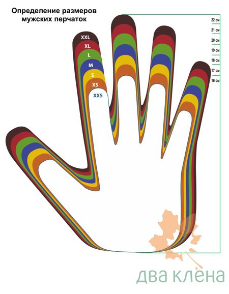 Схема размеров мужских перчаток